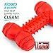 Jeffers Pet Natural Rubber Dog Chew Toy – Red Bone with Dental Teeth, Small – Vanilla Scent, Durable, Non-Toxic, Dishwasher Safe, Interactive Fetch & Tug Toy - Perfect for Training