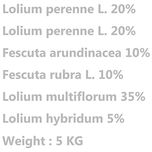vidaXL Graszaad voor droogte en warmte 5 kg - Afbeelding 4