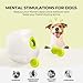 AFP Automatic Ball Launcher Dog Ball Thrower Machine Interactive Hyper Fetching Toy for Large Dogs, 3 Tennis Balls Included, Max Version