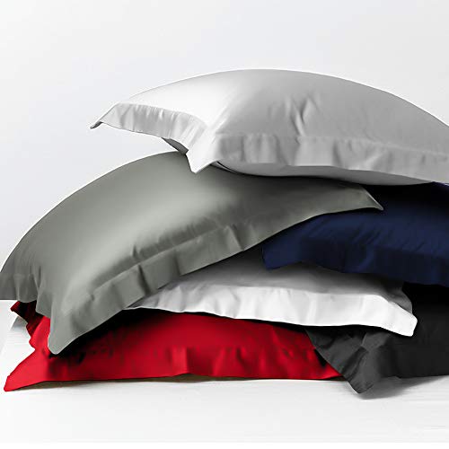 Ntbay 2 Pack 500 Thread Count 100% Egyptian Cotton Euro Pillow Shams, Super Soft And Breathable European Throw Pillow Covers, Square Pillow Cases, 26X26 Inches, White #TOP5