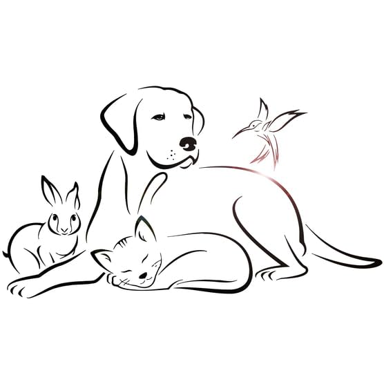 SnappySticker l Pets Animals Dog Cat Veterinary Vinyl Wall Art Decal Stickers Kitchen Décor, Size: 27 X 45cm-image-33