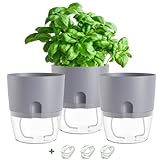 Hydrox Kräutertopf mit Bewässerungssystem | Blumentopf mit Selbstbewässerung | 3er Set Grau, 15,5 Groß Selbstbewässerungstopf