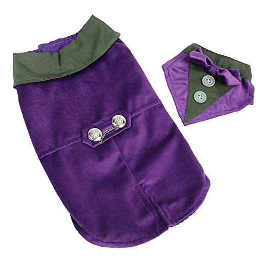 Disfraz elegante para perro con pajarita color morado