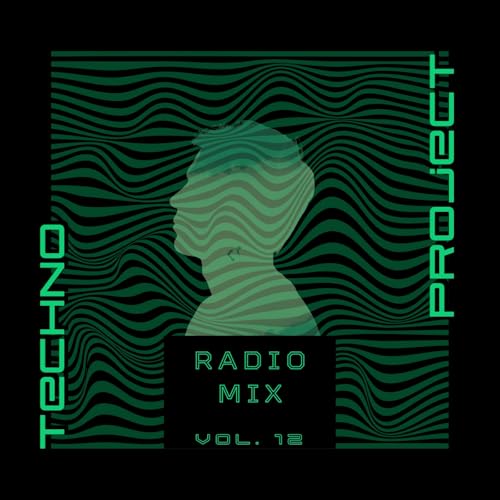 『TECHNO PROJECT VOL. 12』のカバーアート