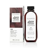 Clairol Professional Permanent Liquicolor, 5r Lightest Red Blonde, 2 oz. - Packaging May Vary