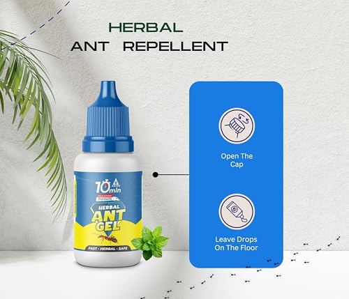 Image of Amish Combo Pack 20g & Amish-B Bed Bug Liquid 30g For Home Kitchen |10Minutes Result Guaranty|Removes Entire Ant, Bed Bug Colony|Powerful 100% Organic No Chemical