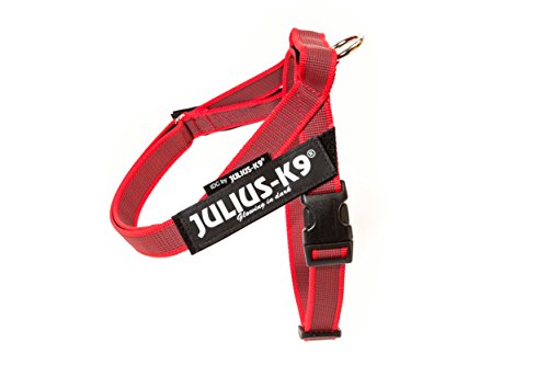 Julius-K9 Pettorina a Fascia Color & Gray, Taglia Mini-Mini, Rosso/Grigio