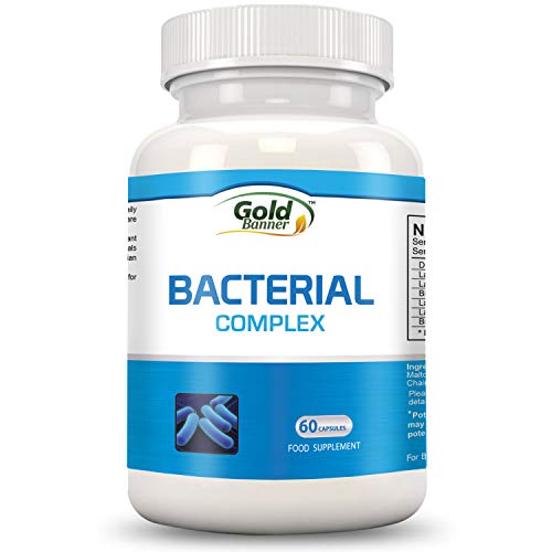 Advanced Probiotics Supplement - Promotes Intestinal Flora -Digestive Health - Provide Gastrointestinal Support Improves Immune System Function Colon Health & Digestion 60 Once-Daily Vegetarian Caps Advanced Probiotics Supplement - Promotes Intestinal Flora -Digestive Health - Provide Gastrointestinal Support Improves Immune System Function Colon Health & Digestion 60 Once-Daily Vegetarian Caps
