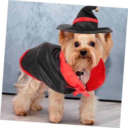 Set disfraz Halloween para perro y gato miniatura 5