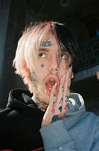 HandTao Lil Peep Music Star Fabric Cloth Wall Poster Photo Print 20x13 Inch
