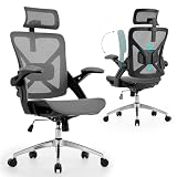 Nexthro Executive Office Chairs Gaming Chairs with Headrest Lumbar,Grey