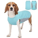 Kuoser UV Schutz Hund Shirt Sommer, Atmungsaktive Hundekühlweste Leichtes Sonnenschutz Sommerweste Kühlweste Hund für Kleine Hunde, Elastisches Hunde Tshirt (Blau, M)