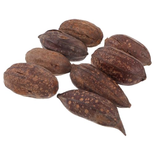 GALPADA 8���ʒ��p �I�E�� ���߂̗V�ѐS���h������� �̐H �Ɠ�