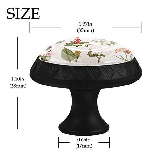 Boutons de tiroir 35 mm pour remplacer les poignées de commode - 5