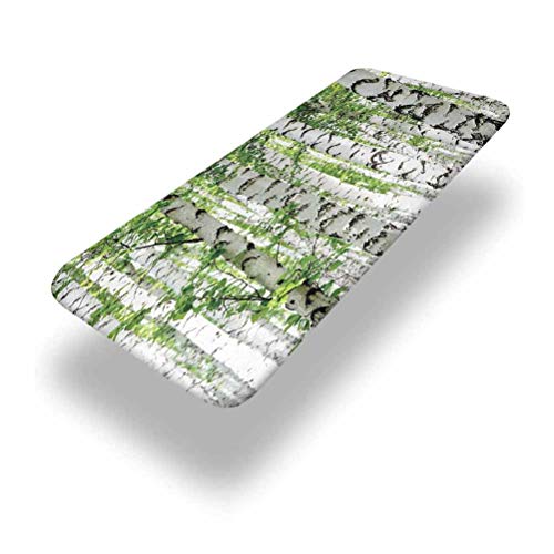 5ft Woodland Elastic Edge Picnic Table Cover,Birch Trees in the