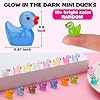 GWAHSA 240pcs Luminous Mini Resin Ducks, Tiny Animals Bulk Glow in The Dark Small Plastic Miniature Ducks Figures for Dollhouse Decor Micro Garden Home Landscape Aquarium Craft Gifts Party Favors Toys #1