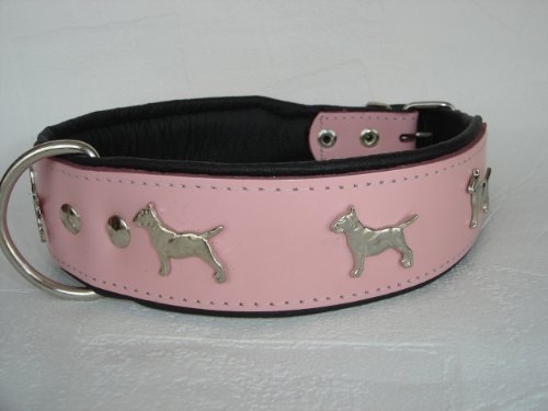 Bullterrier HUNDEHALSBAND - Halsband, Halsumfang 44-52cm/50mm, Leder Rosa