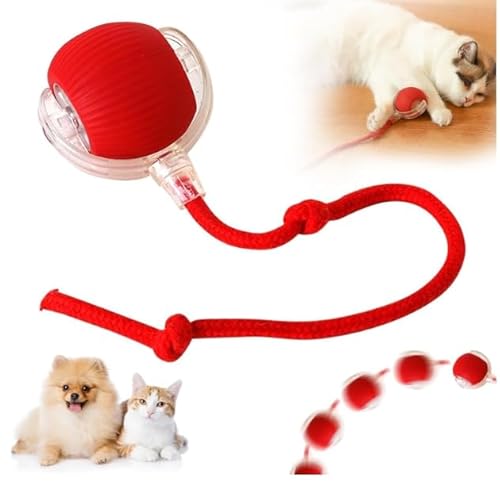 COLEESON Interactive Cat Toy, Automatic Cat Toys for Indoor Cats Adult, Active Rolling Dog Ball with Tail for Dogs, 360°Smart Rolling Kitty Ball Toy, USB Rechargeable Irregular Moving Toys (Red)