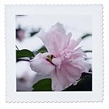 Square dimensions (in inches): 16 L x 16 W, image dimensions (in inches): 14 L x 14 W 100% poloyester; image is soft to touch. Made in USA Edges have pinking shear cut Image will not fade with washing. Image not a transfer, part of material