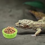 JOINPAYA lot de 30 mini bols pour reptiles, 3,2 cm de côté photo 6