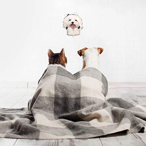 Winston & Bear 3D Dog Stickers - 2 Pack - Cute Maltese Dog Decals For Wall, Fridge, Toilet And More - Retail Packaged Maltese Stickers #TOP2