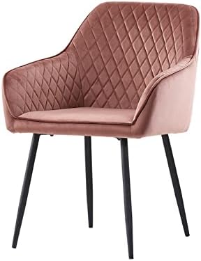 AINPECCA Set of 2 Green Velvet Dining Chairs Velvet Upholstered Seat with Metal Legs (Green Vlt, 2)