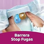 Dodot Pañales Bebé Activity Talla 7 (+15 kg), 96 Pañales, nuestro Nº1 en Absorción y Comodidad