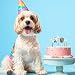 Axvxby 48 Stück Kuchen Topper, Hund Geburtstagskuchen Kuchen Topper, Kuchen und Cupcake Topper, Haustier Geburtstag für Party Dekoration