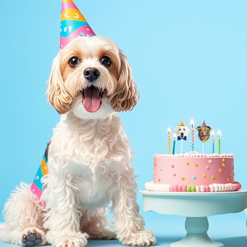 Axvxby 48 Stück Kuchen Topper, Hund Geburtstagskuchen Kuchen Topper, Kuchen und Cupcake Topper, Haustier Geburtstag für Party Dekoration