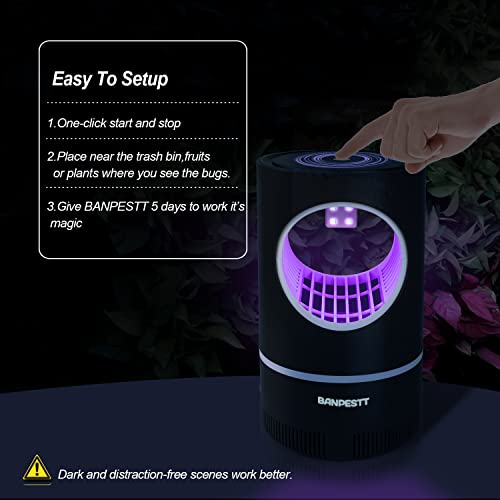 Banpestt Fruit Fly Traps For Indoors - Bugs Trap Catcher & Killer For Mosquito, Gnat, Moth - Catch Flying Insect With Attractive Lighting,Suction & Sticky Glue Board(Black) #TOP4