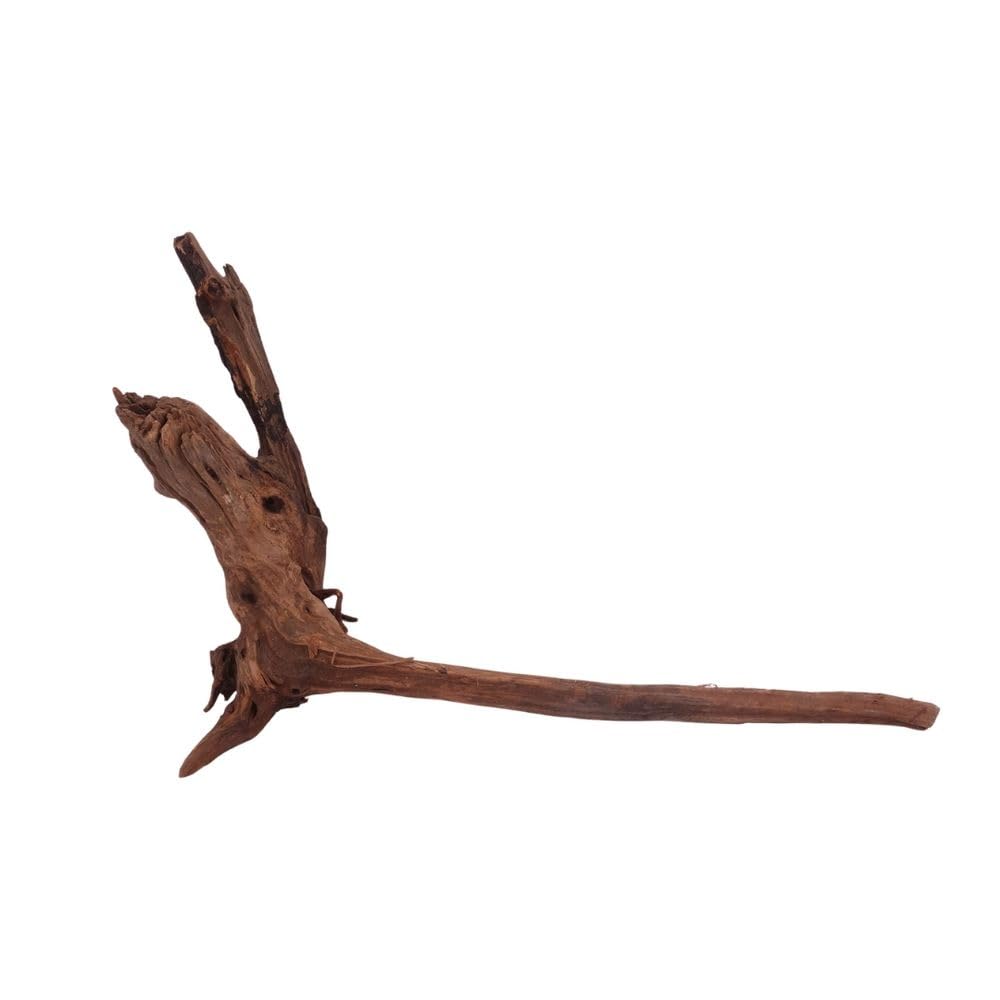 AquaOne Acuario Raíz Driftwood XL nº 3912 - Raíz de río Mangrove Madera Decorativa Paisaje Musgo Naturaleza Madera Auténtica