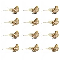 NUOBESTY 4 pezzi uccelli artificiali dall'aspetto vivido vero uccello foto puntelli con clip piccole decorazioni per uccelli fai da te per casa giardino matrimonio