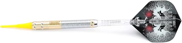 CUESOUL 16 Grams Deluxe Soft Tip Darts Set with Luxury Case£¨Dragon Series£© - 4