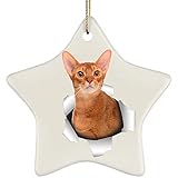 Décoration D'Ornement De Noël avec Ficelle Dorée Décoration De Noël À Suspendre Céramique Décoration Sapin Chat Abyssin Drôle De Couleur Cannelle Sortant d'un Mur Fissuré