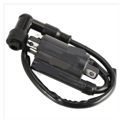 Bobine d'allumage contre démarrage difficile Ninja 250r EX250
