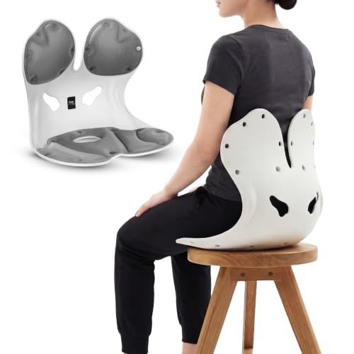 Image of Frido Orthotics Posture Corrector Seat for Back Support, Ergonomic Posture Correction Seat Cushion, Helps Relieve Back & Tailbone Pain, Supports Spine Alignment, Fits Most Chairs, Sofas & Car Seats