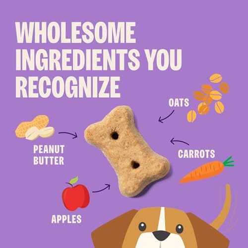 Wellness Old Mother Hubbard Classic P-Nuttier Dog Biscuits, Natural Training Treats, Peanut Butter Flavor, Large Size, 6 lb Box