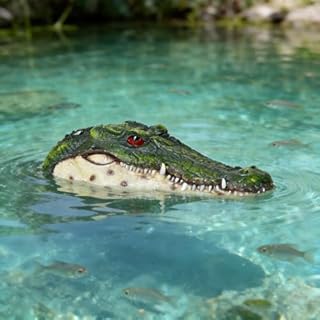 Benhurb Pond Floating Alligator Head Decoy, Pools Float Fake Gator Head Duck Detterent Crocodile Head Decoy for Koi Garden Yard Decoration Swimming Pool Animal Protector
