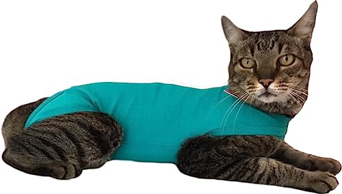Roupa Cirúriga Pet Para Castração de Gato (Verde, 4)