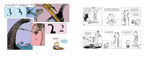 C'è Un Tesoro In Ogni Dove. Calvin & Hobbes. Ediz. A Colori - 3
