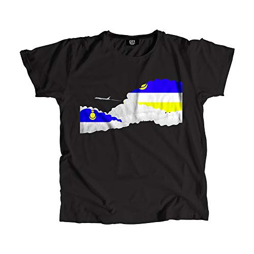 T-shirt avion et voyage unisexe idéal pour look décontracté ou vol long-courrier