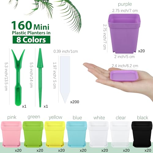 Hahood 160 Pieces Square Flower Plant Pots 3 Inch Flower Seedling Nursery Pots with Pallet Colorful Mini Plastic Planters with Labels and Tools for Room, Garden, Office and Balcony, 8 Colors by Hahood - Image 2