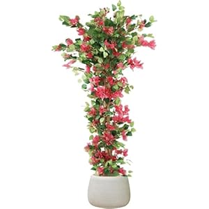 5.6ft Artificial Bougainvillea Tree with Vibrant Flowers in Pot – Lifelike Faux Blooming Plant for Indoor or Outdoor Home, Balcony, Porch & Office Décor,1 Pack