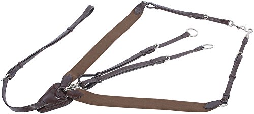 Briquet Avant élastique Harry's Horse Marron Taille L 28300070-03full pour équipement du cheval