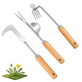 Arrache Mauvaise Herbe, Lot de 3 Desherbeur Manuel avec Manche en Bois
