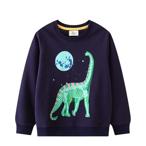 Boys Sweatshirts Casual Sweatshirts Cotton Sweatshirts Long Sleeve T-shirts Crew Neck Cartoon Tops for Boys-484