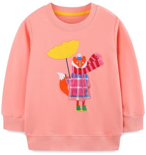 Image of Hongshilian Unisex Kids Cute Cartoon Cotton Sweater Shirt