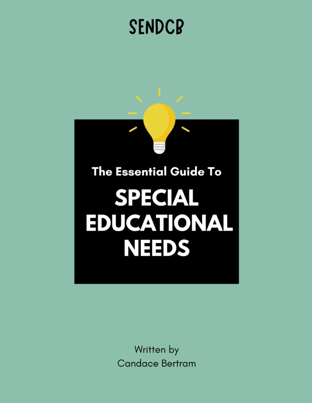 The Essential Guide to Special Educational Needs