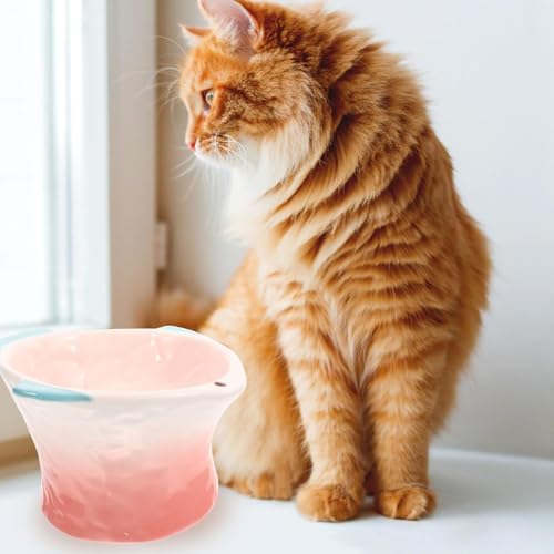 Mangeoire en céramique design poisson pour choyer votre animal de compagnie - 6