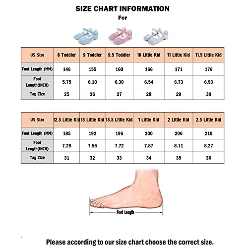 Alpheligance Girls Dress Shoes Wedding Party Flower Rhinestone Studded Princess Flats #TOP1